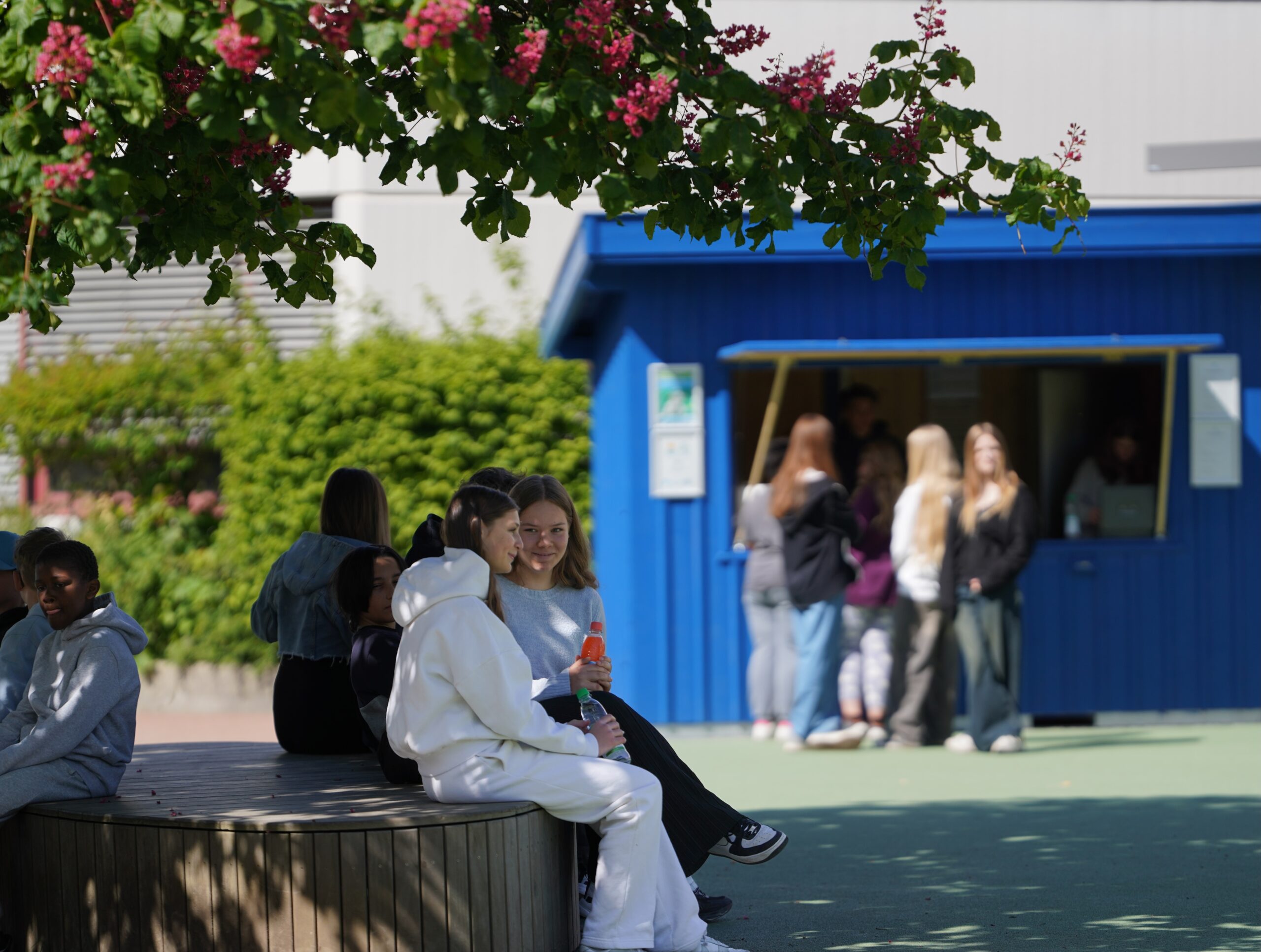 Schülen sitzen im Pausenhof auf einer Bank